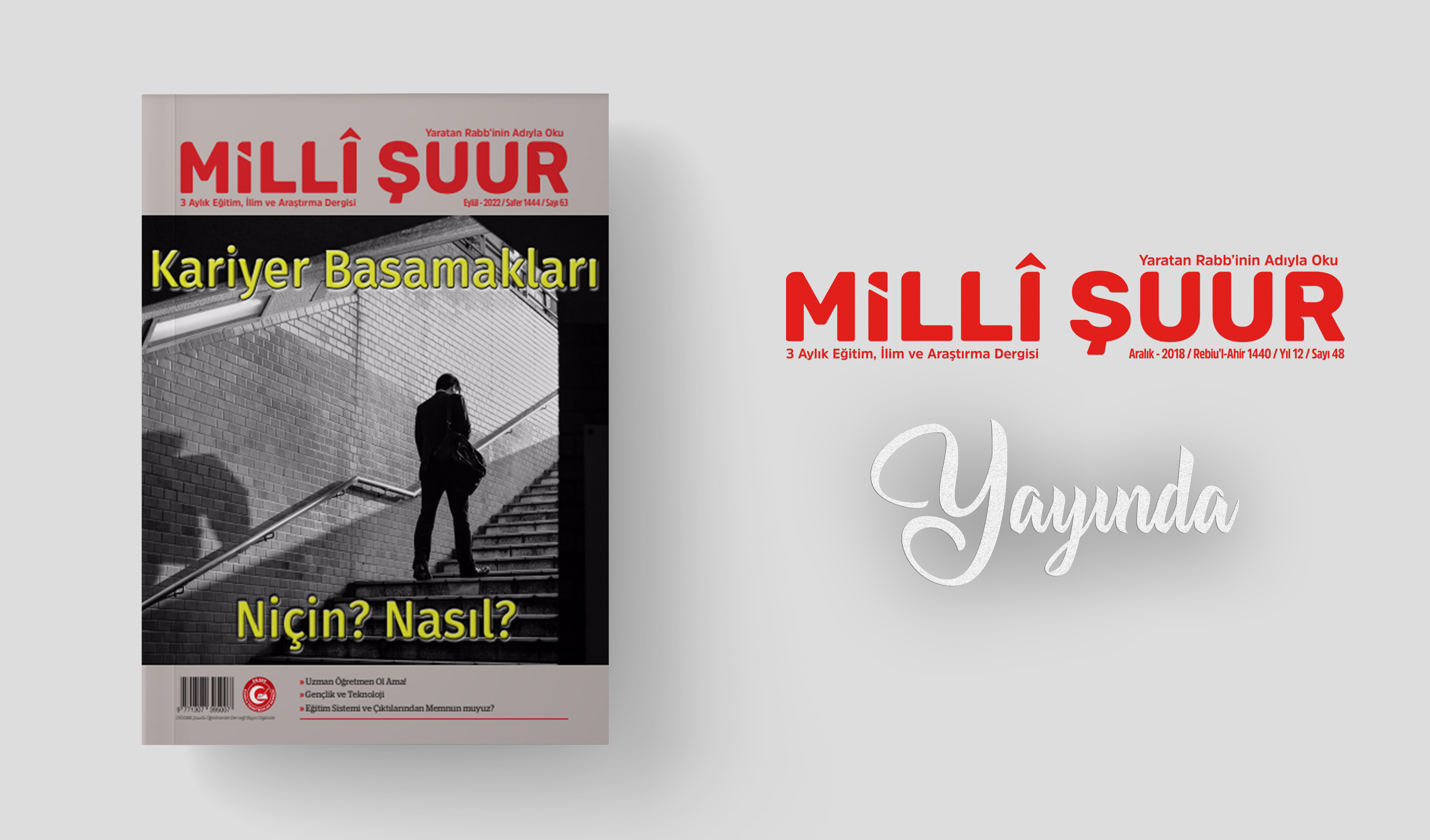 Milli Şuur Dergisi